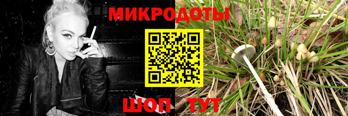 Магнитогорск  Галлюциногенные грибы мухоморы  где можно купить   Вход с VPN 